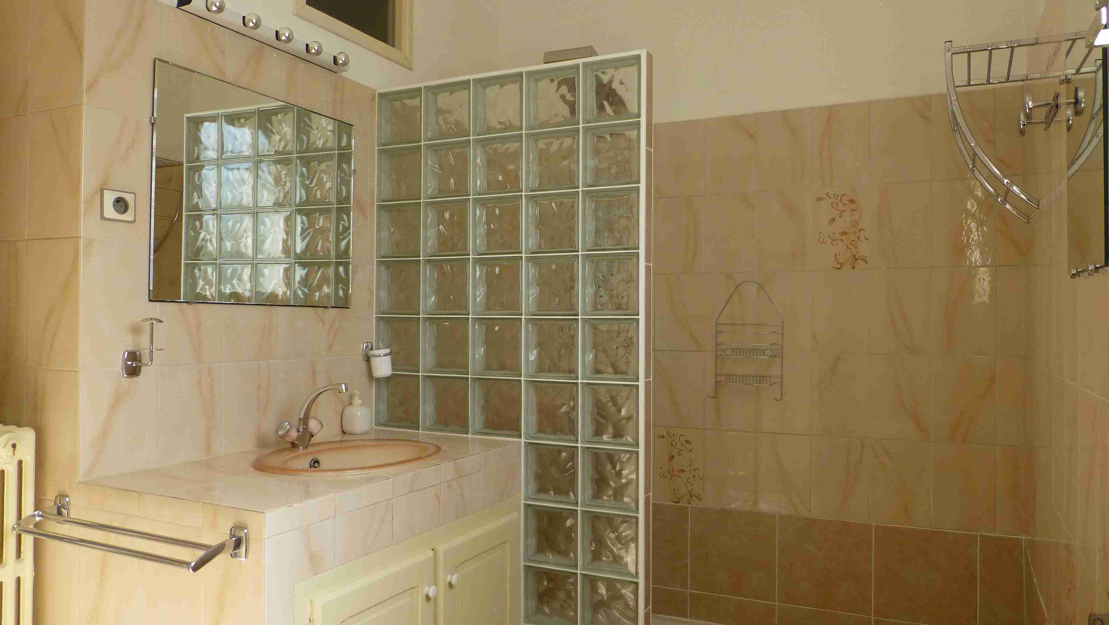 location-maison-vacance-rochefort-charente-maritime-P1020762-comp