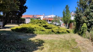 location-maison-saisonniere-rochefort-jardin-calme-animaux-pmr-555-co