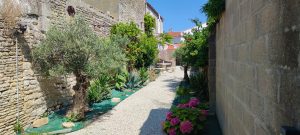 location-saisonniere-vacances-le-chateau-oleron-IMG_20240717_155252 (44)